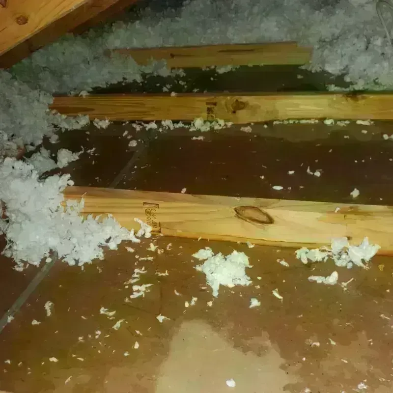 Attic Water Damage in Natchitoches Parish, LA